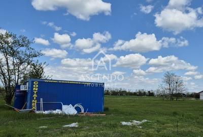 Teren Construcții intravilan de 704 mp, în Siliștea Snagovului - 4