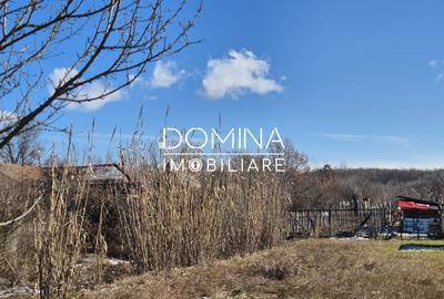 Teren Construcții de 6504 mp, în Curtișoara - 5