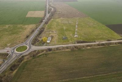 Teren 84000 mp la 20 km de Arad, la DN79 - 3