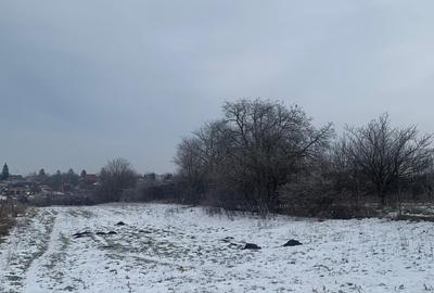 Teren Construcții intravilan de 10000 mp, în Afumați - 20