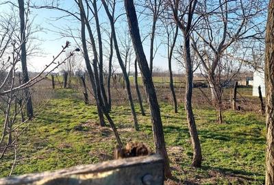 Casă cu 7 camere cu Teren 5500 Mp în Central