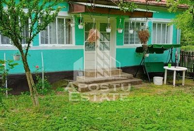 Casa bătrânească de vânzare | 4 camere | Hunedoara | Micănești - 1