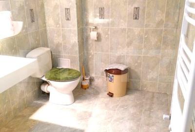 Vila cu 4 nivele si 475 mp utili, teren de 300 mp, in zona Colentina, Bucuresti - 20