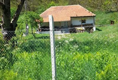 Casă cu Teren 2 Mp în Poieni (Densuș) - 6