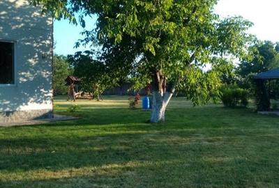 Ciopani vila 5 camere teren 4000 mp - 11