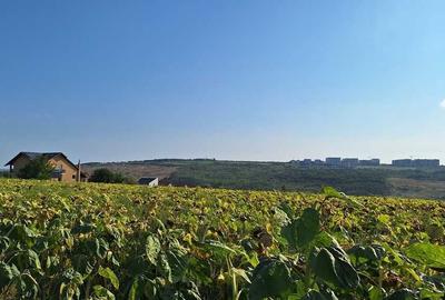 Spațiu comercial, în Valea Lupului - 3