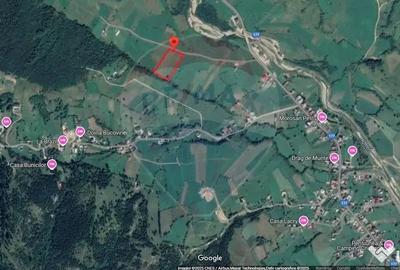 Teren de 9202 mp, în Mănăstirea Humorului - 5