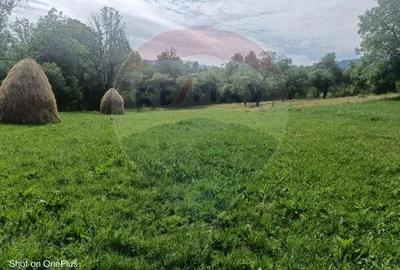 Casă cu 3 camere cu Teren 5472 Mp în Breb - 8