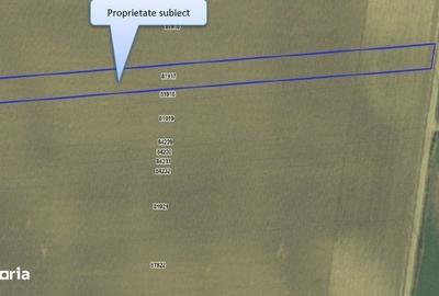 Teren de 5000 mp, în Lunca - 12