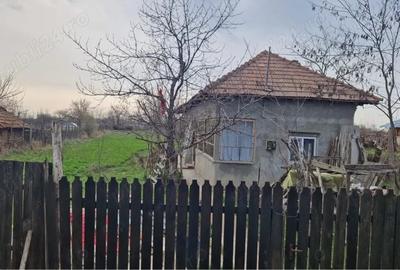 Casă cu Teren 2185 Mp în Stoicănești - 4