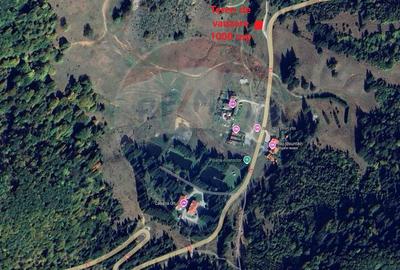 Teren de 1000 mp, în Central - 5