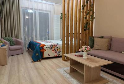 Confort ?i loca?ie excelenta apartament 1 camera Eroilor - 9