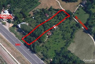 Teren Construcții intravilan de 2577 mp, în Frăsinet - 3