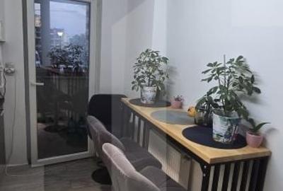 Apartament 2 camere, complet mobilat, Drumul Binelui, negociabil - 4