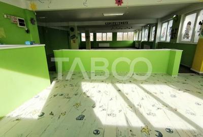 Spatiu comercial pe 2 niveluri cu vad 440 utili zona Terezian Sibiu - 18