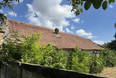 Casa Demolabila Cu Teren 1481 mp In Becicherecu Mic,Vatra Veche,Asfalt,Fs 15m - 1