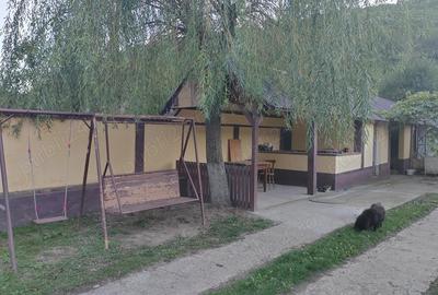 Gospodarie langa Deva - 7