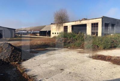 Ferma de vanzare in jud. Covasna, suprafata teren 4824 mp Ferma de vanzare in jud. Covasna, suprafata teren 4824 mp - 4