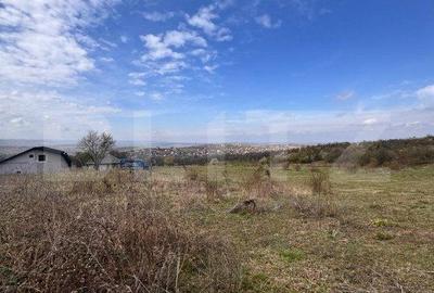 Teren de 710 mp, în Bârnova - 2