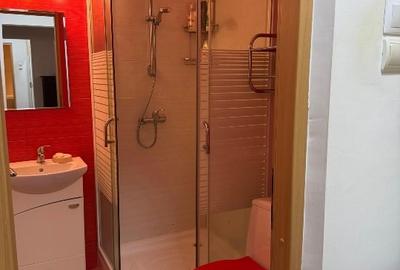 Apartament cu 4 camere decomandat, mobilat în Lipovei - 7