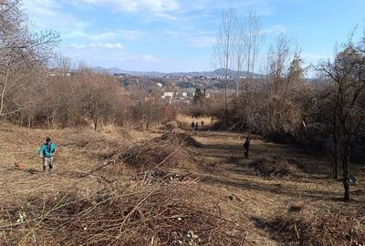 Teren de 4200 mp, în Poiana - 2
