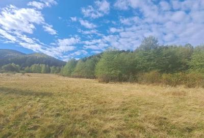 GM53438 Oportunitate investitie in Muntii Fagaras, teren 18000mp - 6