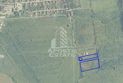 Teren Construcții extravilan de 4200 mp, în Est - 2