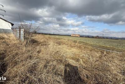 Spațiu comercial, în Letea Veche - 4