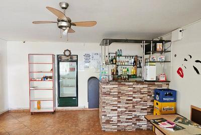 Proprietate multifunctionala,com.D-va Rosie,casa+sp.comercial+teren - 29