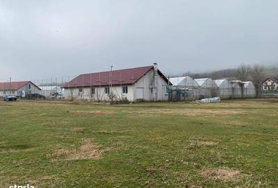 Teren de 5000 mp, în Aroneanu - 5