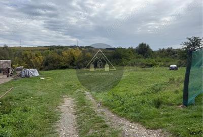 Teren Copsa Mica - 4