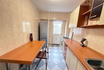 Garsoniera Ghica Tei Teiul Doamnei - 20