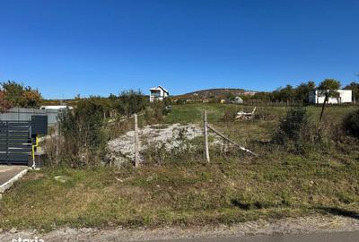 Spațiu comercial, în Betfia - 4