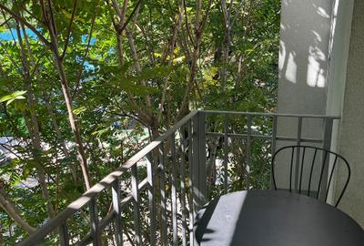 Garsoniera decomandata,centrala proprie,Aparatorii Patriei,Oltenitei - 8