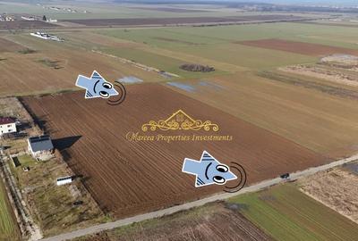 Teren de 10000 mp, în Ulmi - 4