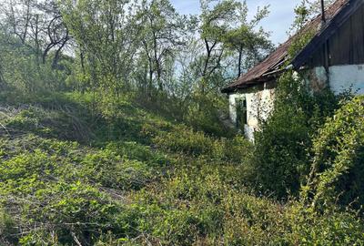 Spațiu comercial, în Central - 5