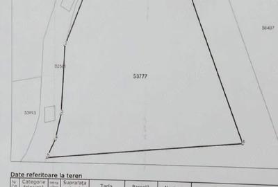 Teren de 9500 mp, în Zece Hotare - 4