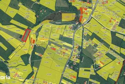 Teren de 4500 mp, în Central - 3
