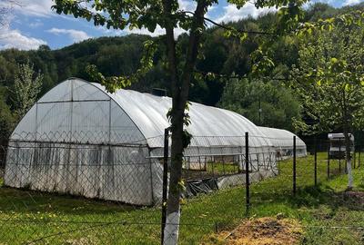 Teren de 1423 mp, în Telega - 3