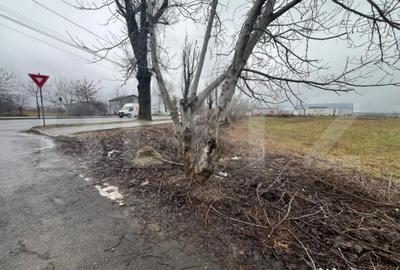 Teren de 1578 mp, în Micro 11 - 2