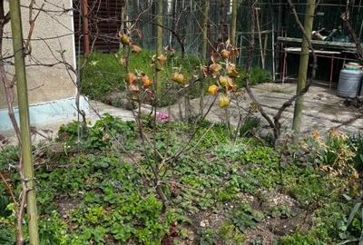 Casa, 4 camere, 144 mp, zona Buna Vestire - 19