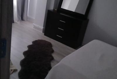 Campia Libertatii-apartament de 2 camere-LUX - 7