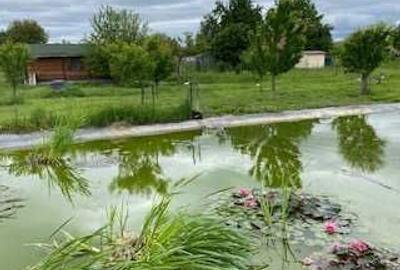 Casă cu 4 camere în Agrișteu - 7