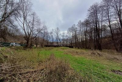 Resita, Teren Drept Intravilan, Langa Prau si Drum, 1308 Mp. - 3