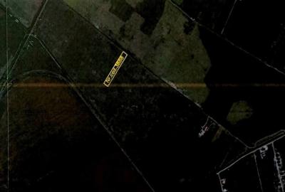 Teren de 4666 mp, în Odăile - 2