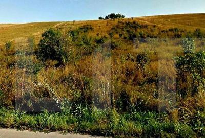 Teren de 6500 mp, în Someșeni - 2