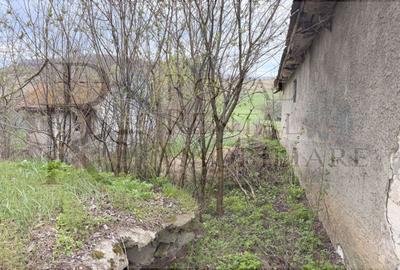 Casă individuală cu 2 camere cu Teren 2200 Mp în Făureni - 30