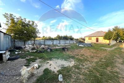 Casa de vanzare 3 camere - com. Letea Veche- sat. Holt - 6