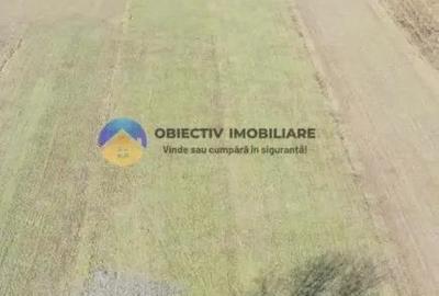 TEREN intravilan 4488 mp - PANGARA?I - 3