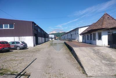 Spa?iu industrial de vanzare in Sangeorgiu de Padure... - 14